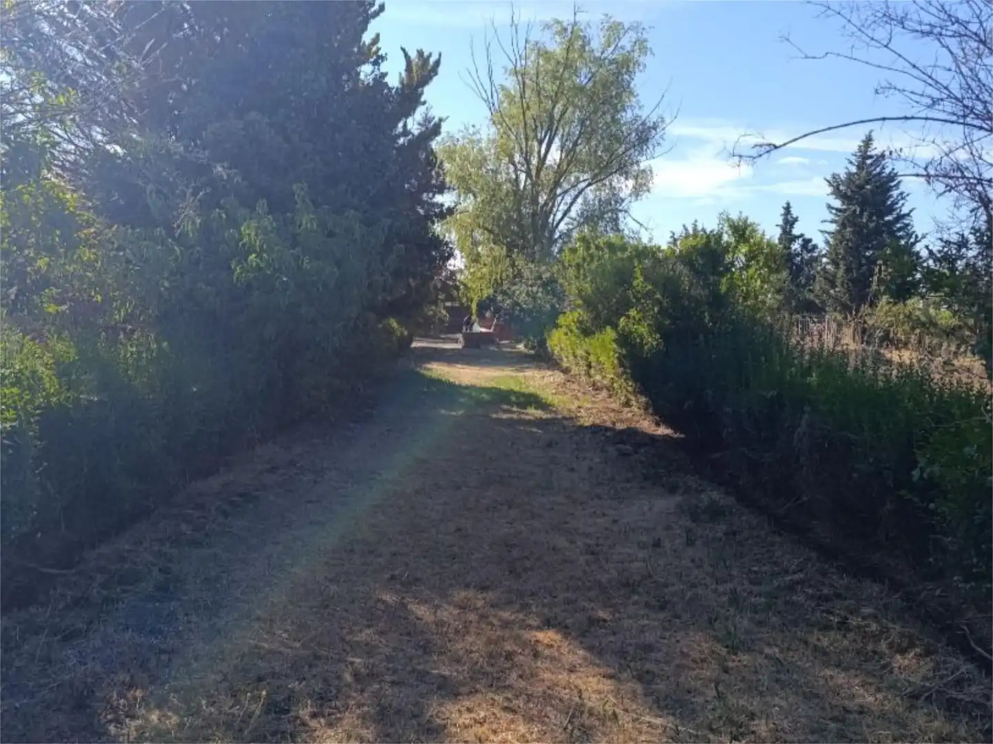 Finca rústica en venta en Le-522, 5, Pajares de los Oteros Finca rústica en venta en Pajares de los Oteros