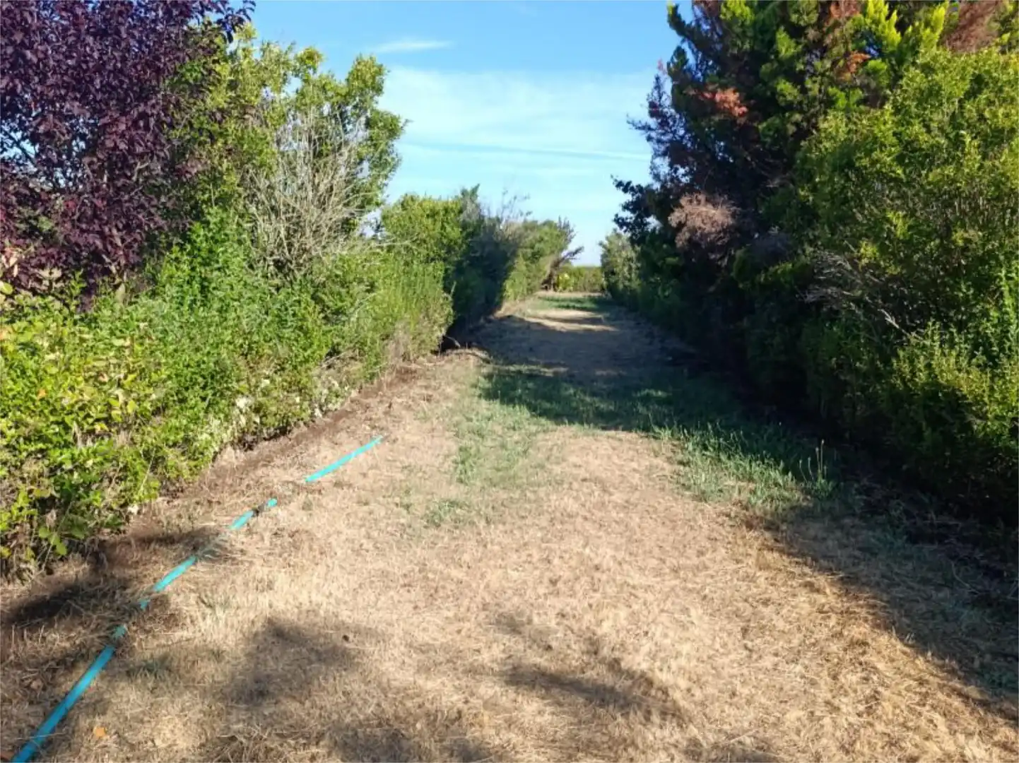 Finca rústica en venta en Le-522, 5, Pajares de los Oteros Finca rústica en venta en Pajares de los Oteros