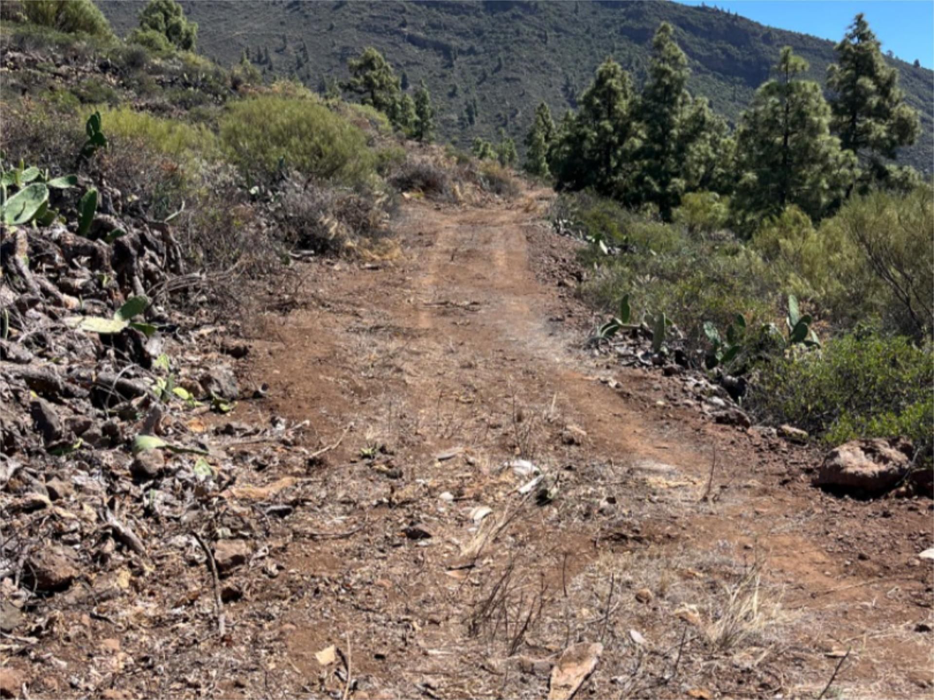 Exterior view of Land for sale in Candelaria