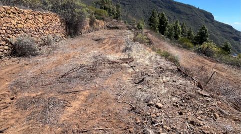 Foto 3 de Terreno en venta en Calle Morrita Araya, 136, Araya, Candelaria