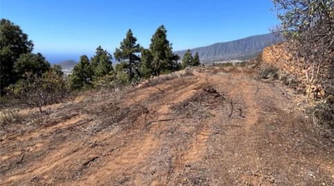 Foto 4 de Terreno en venta en Calle Morrita Araya, 136, Araya, Candelaria