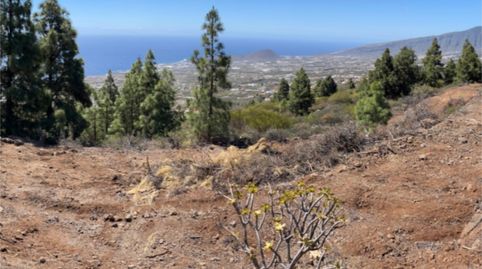 Foto 5 de Terreno en venta en Calle Morrita Araya, 136, Araya, Candelaria
