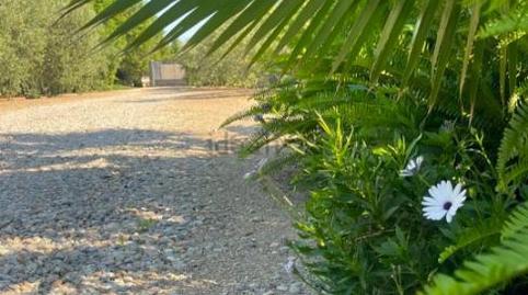 House or chalet for sale in El Camí de Constantí, 8, Llevant, Tarragona - image 2 Photo 2 of House or chalet for sale in El Camí de Constantí, 8, Llevant, Tarragona