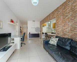 Sala d'estar de Apartament en venda en Arona amb Terrassa i Piscina