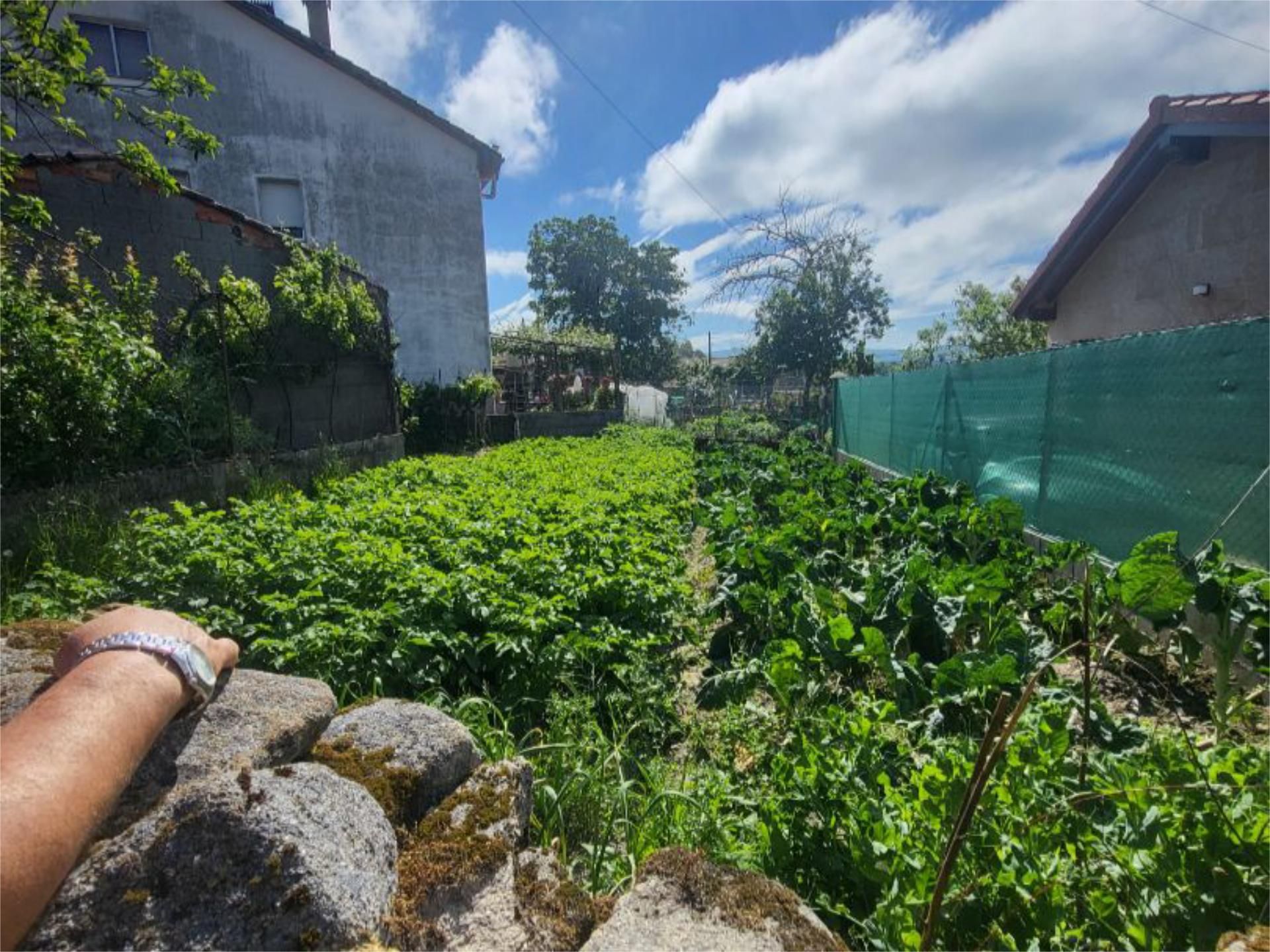 Jardín de Casa adosada en venta en Allariz