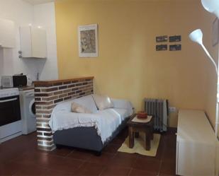 Sala d'estar de Apartament de lloguer en Segovia Capital