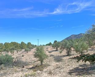 Finca rústica en venda en Biar amb Terrassa