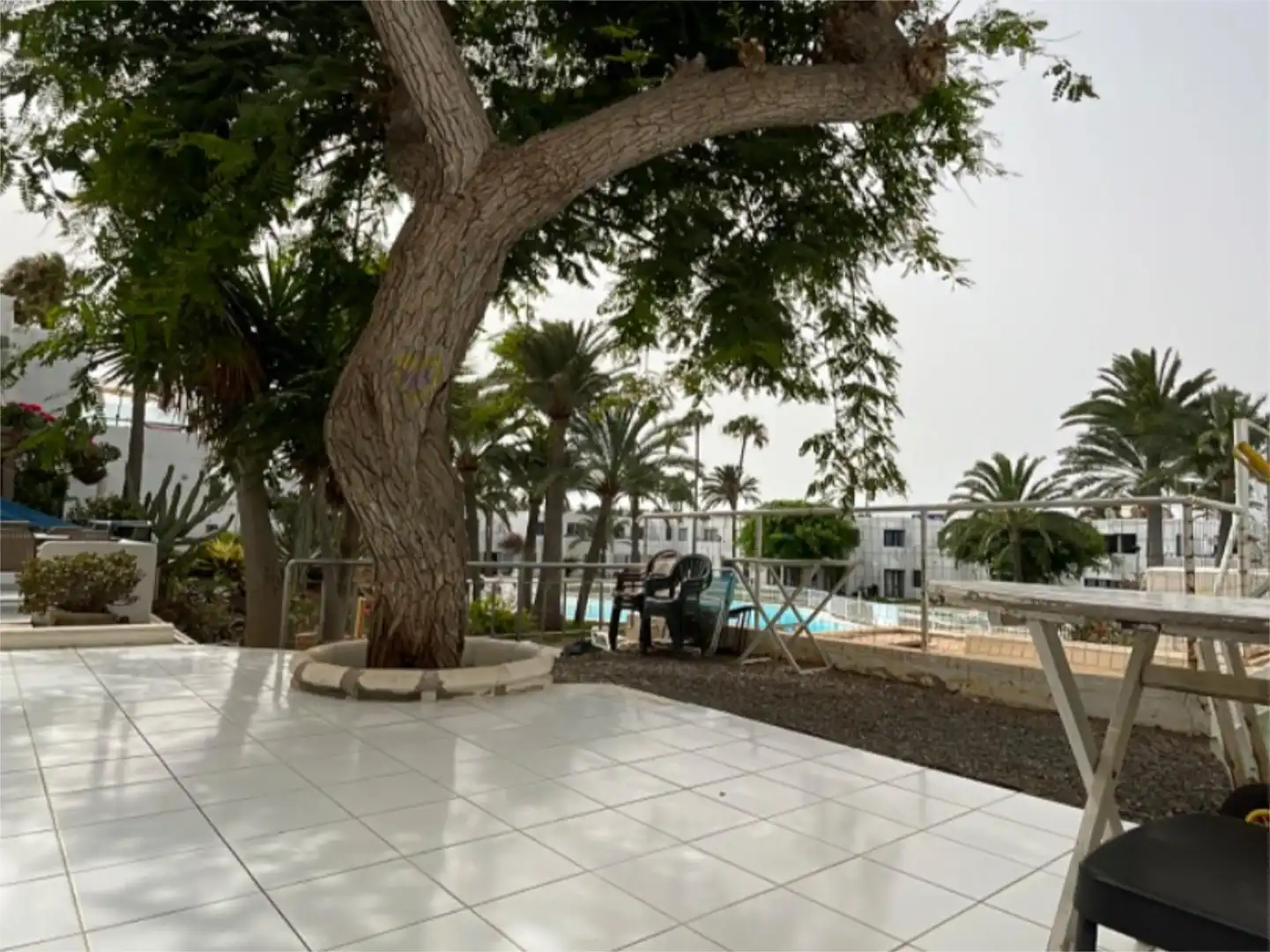 Exterior view of Apartments for sale in La Oliva  with Private garden, Terrace and Swimming Pool