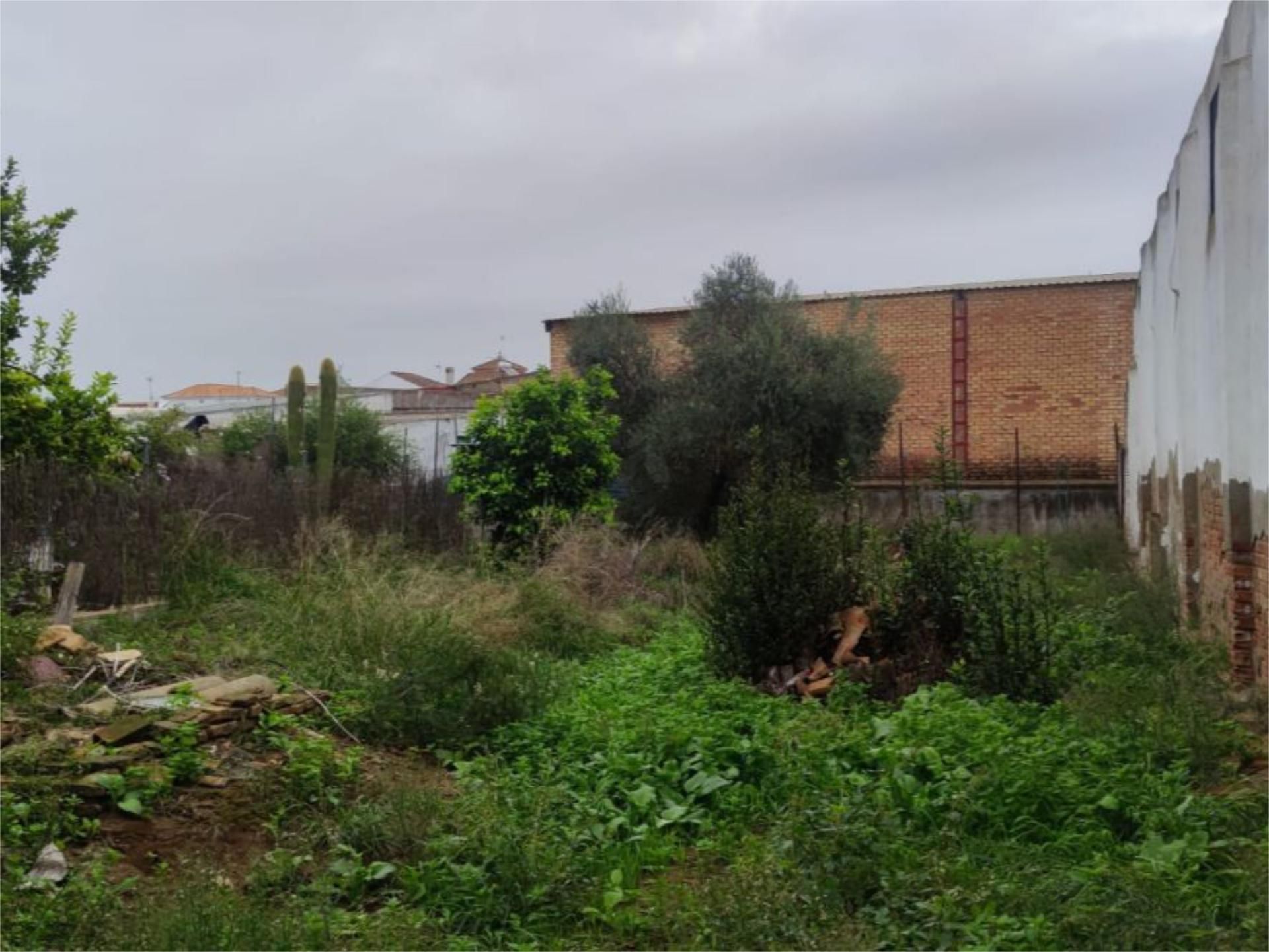 Residencial en venda en Almensilla