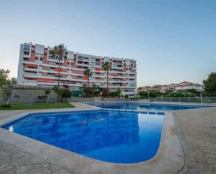 Swimming pool of Flat to rent in Águilas  with Terrace and Balcony