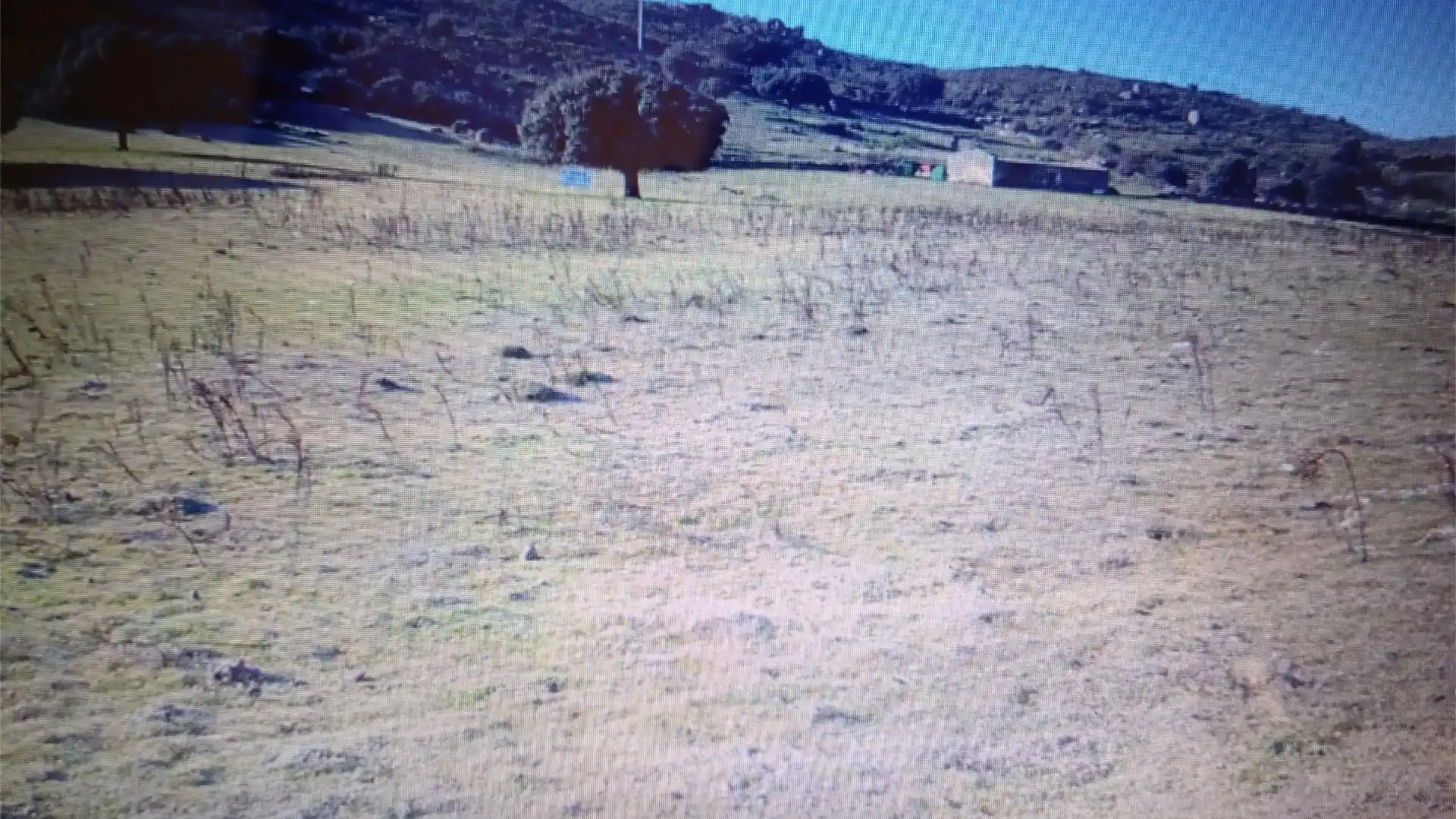 Terreno en venta en Navalmoral de la Mata