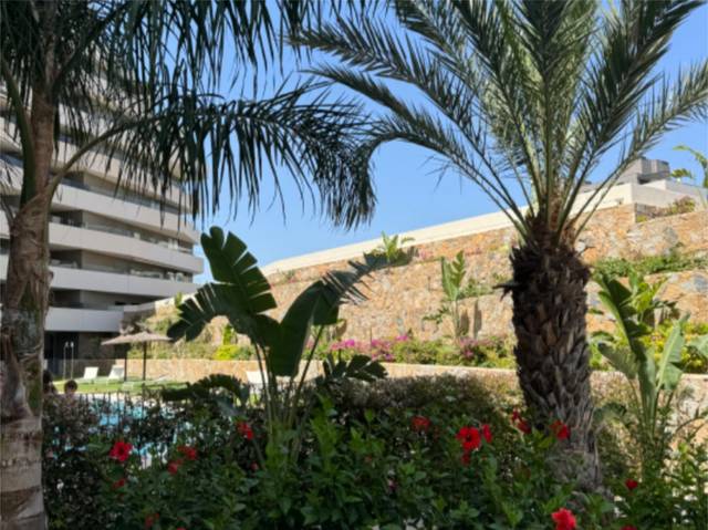 Piso en Venta en Calle del Torero Vicente Blau “El Tino”, 3 en PAU 5