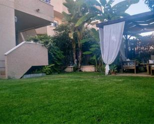 Garden of Flat to rent in Sanlúcar de Barrameda  with Terrace and Swimming Pool