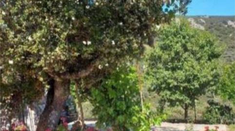 Photo 2 of Flat for sale in Calle de Atras, 1, Cabañas del Castillo, Cáceres