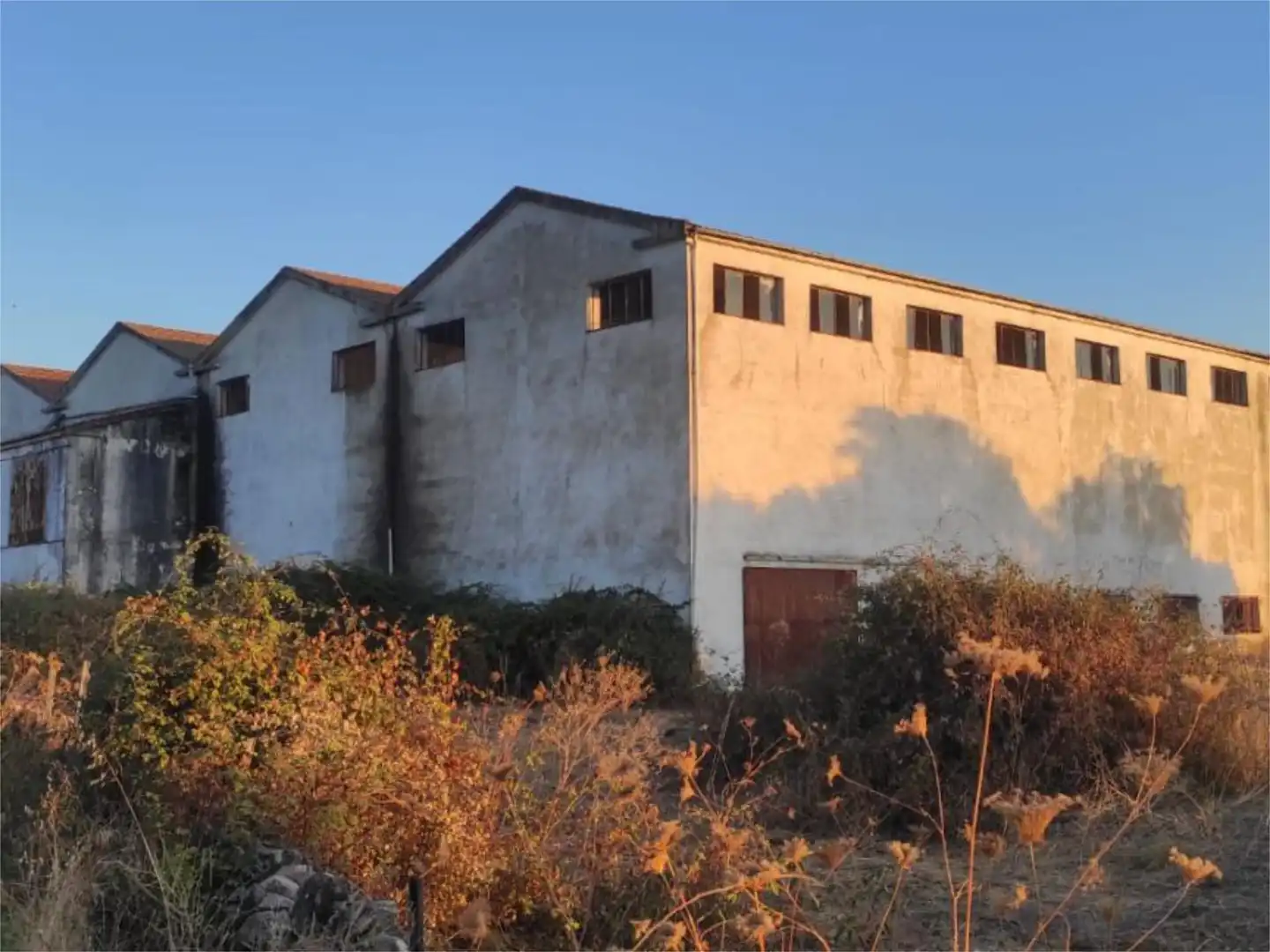 Nau industrial en venda a Carretera Montánchez, 14, Alcuéscar Nau industrial en venda a Carretera Montánchez, 14, Alcuéscar