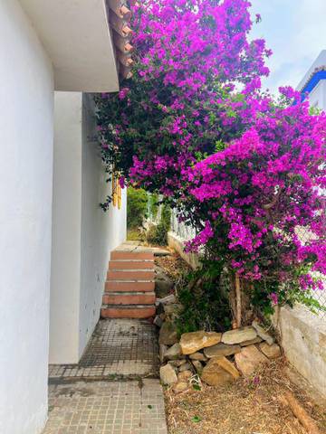 Finca rústica en Venta en El Lentiscal