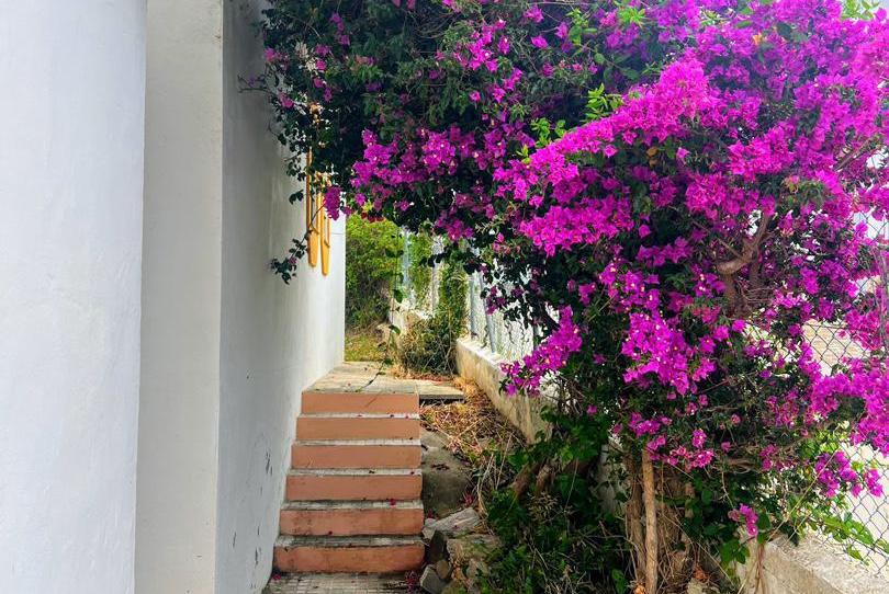 Finca rústica en venda a El Lentiscal, Cádiz - imatge 1 Foto 1 de Finca rústica en venda a El Lentiscal, Cádiz