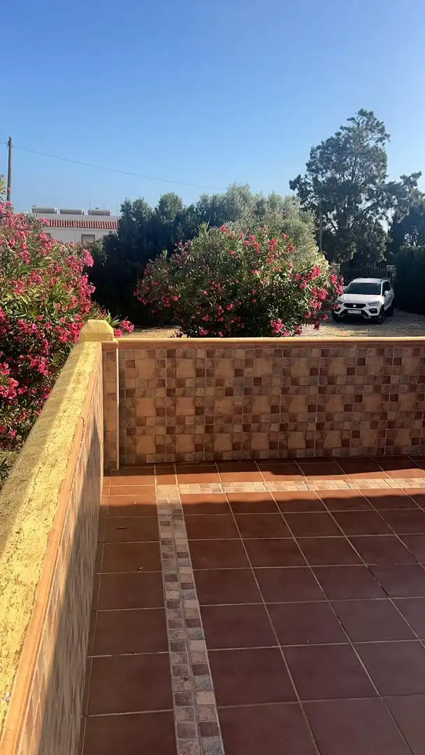 Finca rústica en venda a El Lentiscal Terrassa de Finca rústica en venda en Tarifa