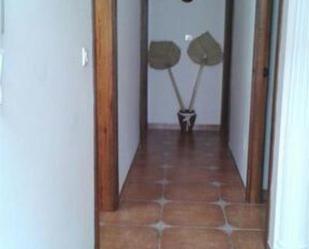 Apartament de lloguer en Olvera amb Terrassa