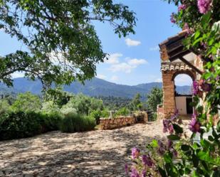 Jardí de Finca rústica en venda en Villacarrillo amb Terrassa i Piscina