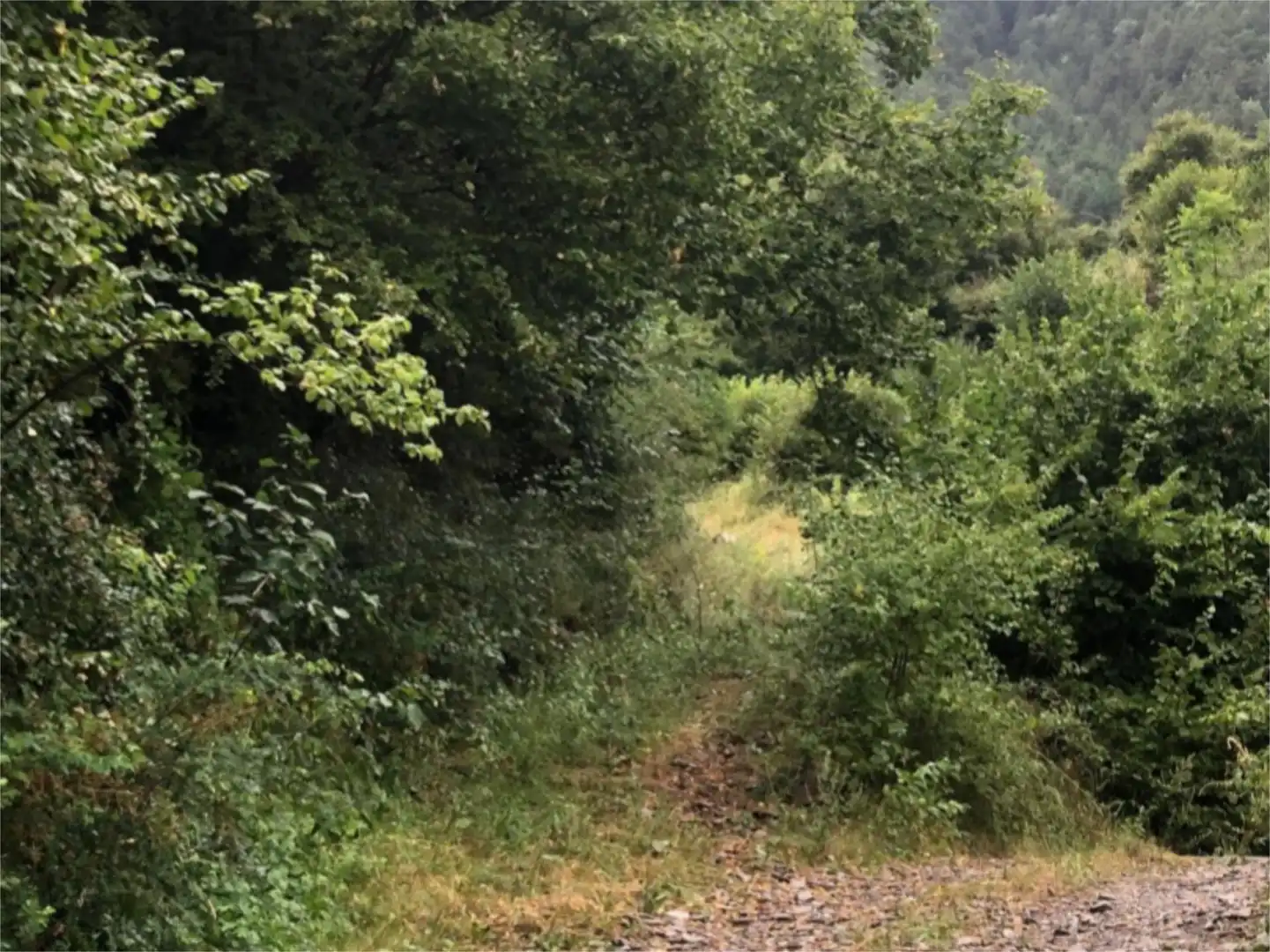 Land for sale in Avenida de Ordesa, Torla Land for sale in Torla