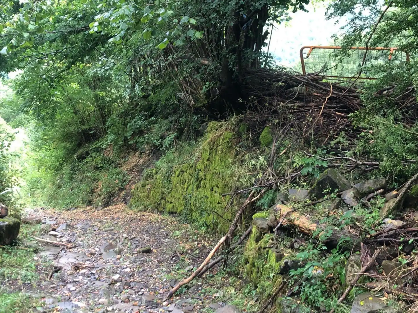 Land for sale in Avenida de Ordesa, Torla Exterior view of Land for sale in Torla