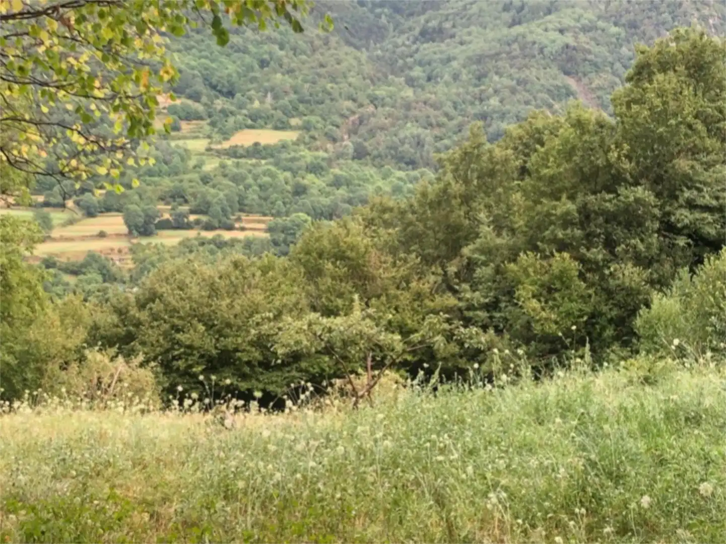 Land for sale in Avenida de Ordesa, Torla Land for sale in Torla