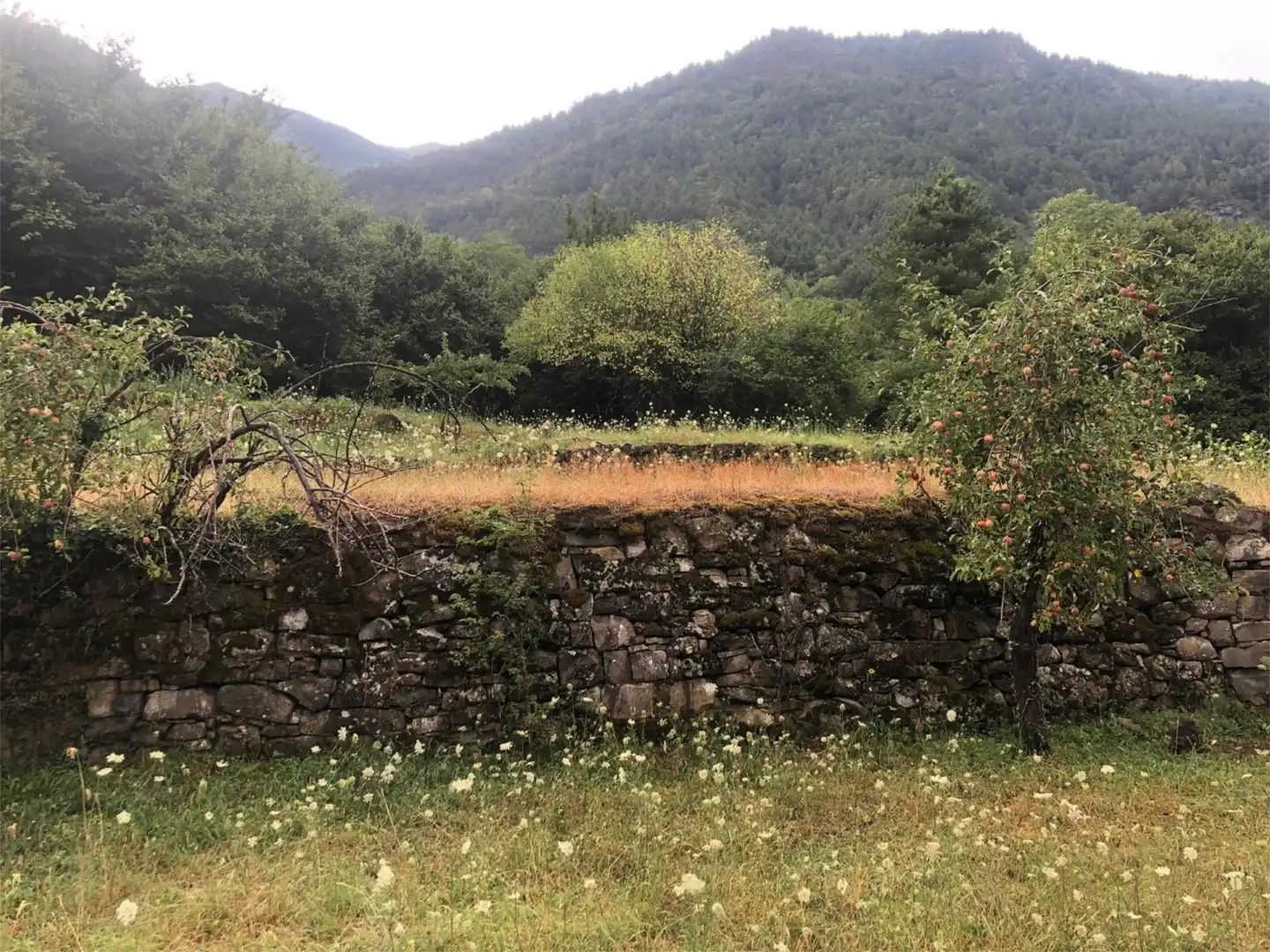 Land for sale in Avenida de Ordesa, Torla Land for sale in Torla