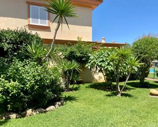 Garden of Single-family semi-detached to rent in Rota  with Air Conditioner, Terrace and Swimming Pool