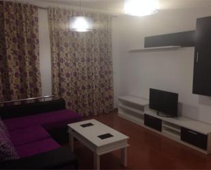 Sala d'estar de Àtic de lloguer en Andújar amb Aire condicionat