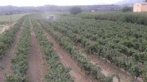 Foto 2 de Finca rústica en venda a Carretera, 9, Miravet, Tarragona