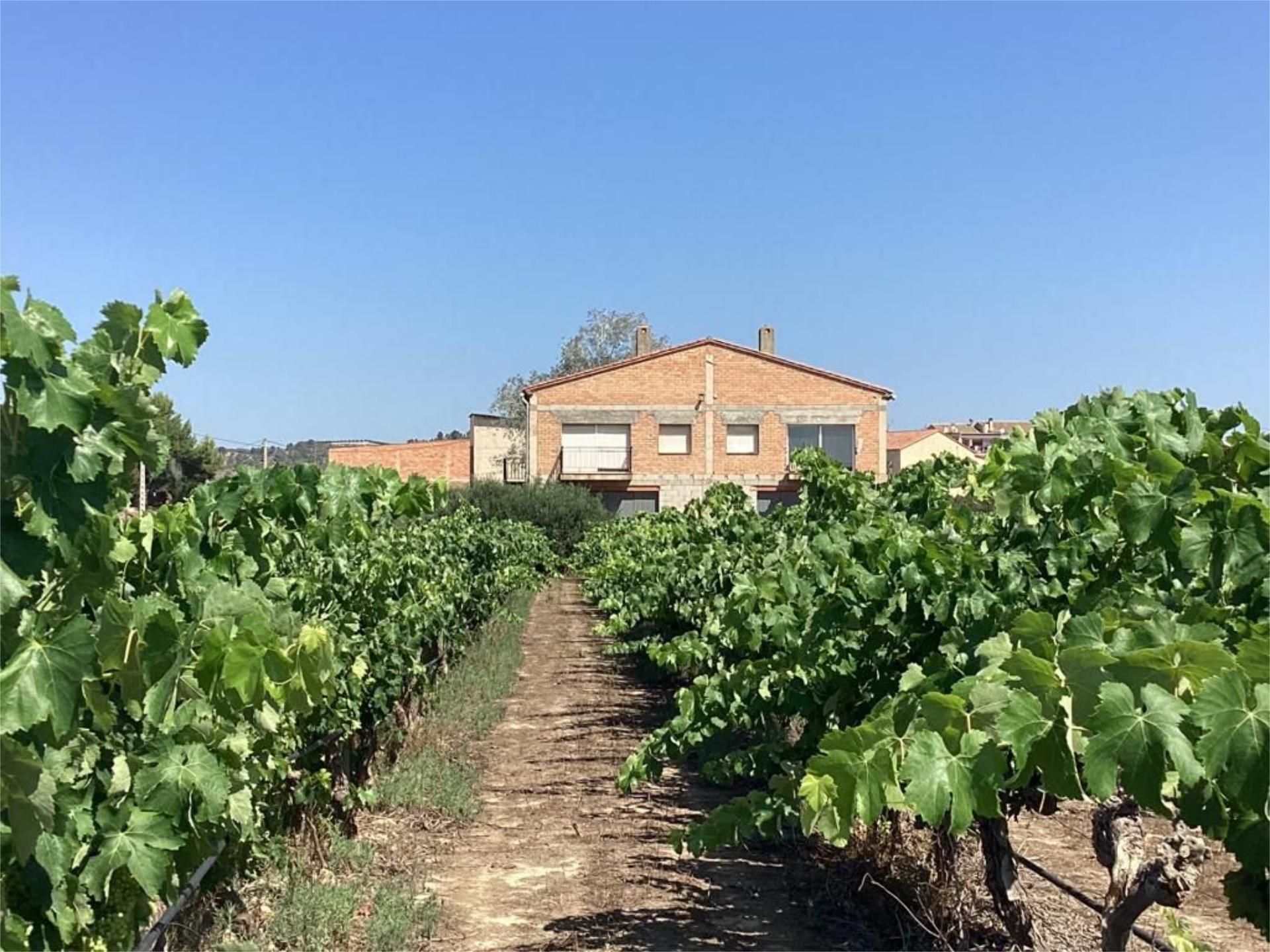 Exterior view of Country house for sale in Miravet  with Private garden, Terrace and Furnished