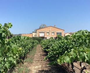 Vista exterior de Finca rústica en venda en Miravet amb Jardí privat, Terrassa i Moblat