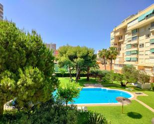 Swimming pool of Duplex to rent in Alicante / Alacant  with Air Conditioner, Terrace and Swimming Pool