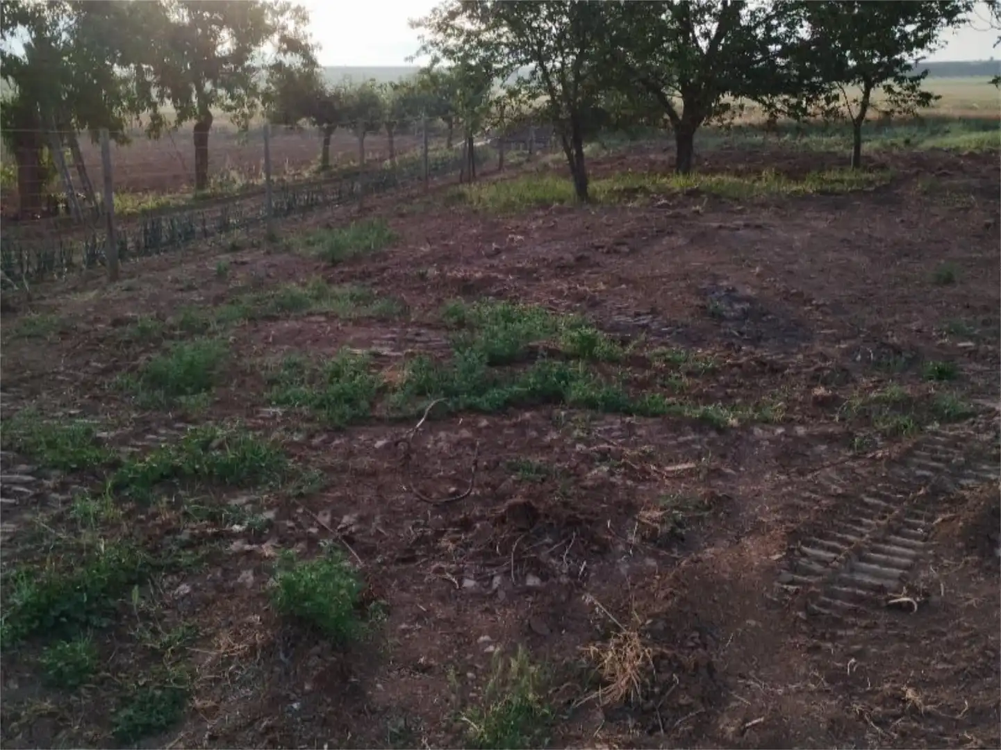 Finca rústica en venda a Calle Jardines, 27, Casalarreina Finca rústica en venda en Casalarreina