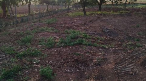 Country homes for sale in Calle Jardines, 27, Casalarreina, La Rioja - image 2 Photo 2 of Country homes for sale in Calle Jardines, 27, Casalarreina, La Rioja