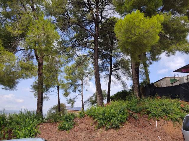 Terreno en Venta en Carrer Sant Joaquim, 5 en Abrera