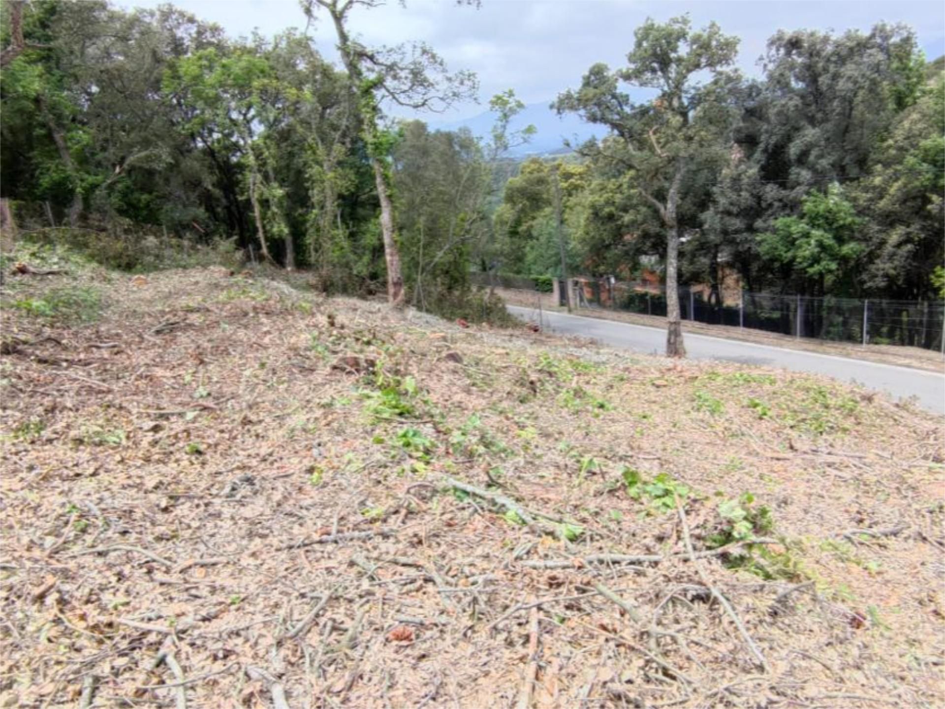Constructible Land for sale in Vallgorguina
