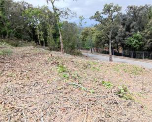 Constructible Land for sale in Vallgorguina