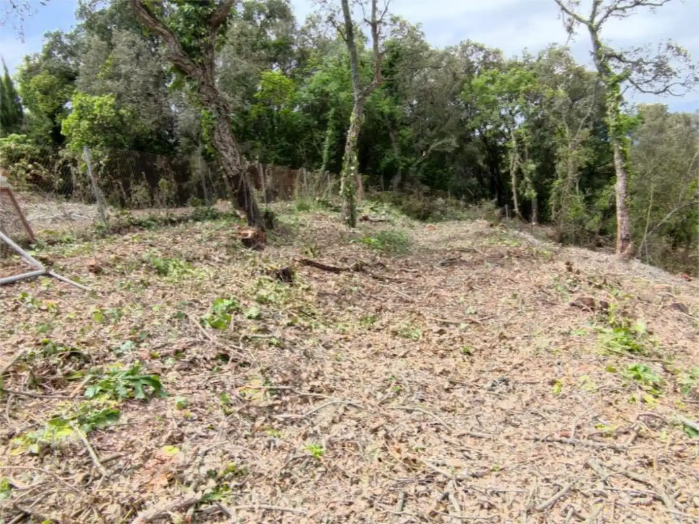 Bebaubares Gelände zum Verkauf in Vallgorguina