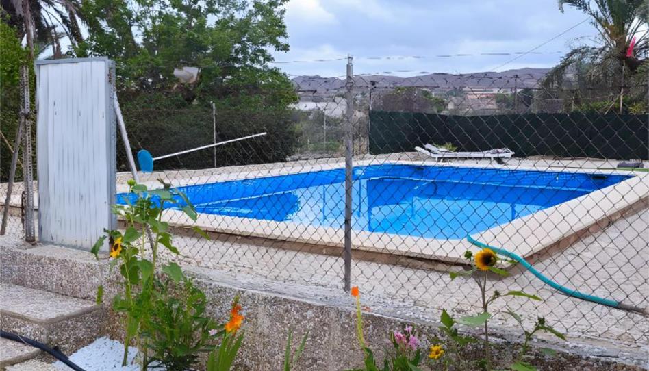 Finca rústica en venda a Plaça Poligono 5, 66, Novelda, Alicante - imatge 1 Foto 1 de Finca rústica en venda a Plaça Poligono 5, 66, Novelda, Alicante