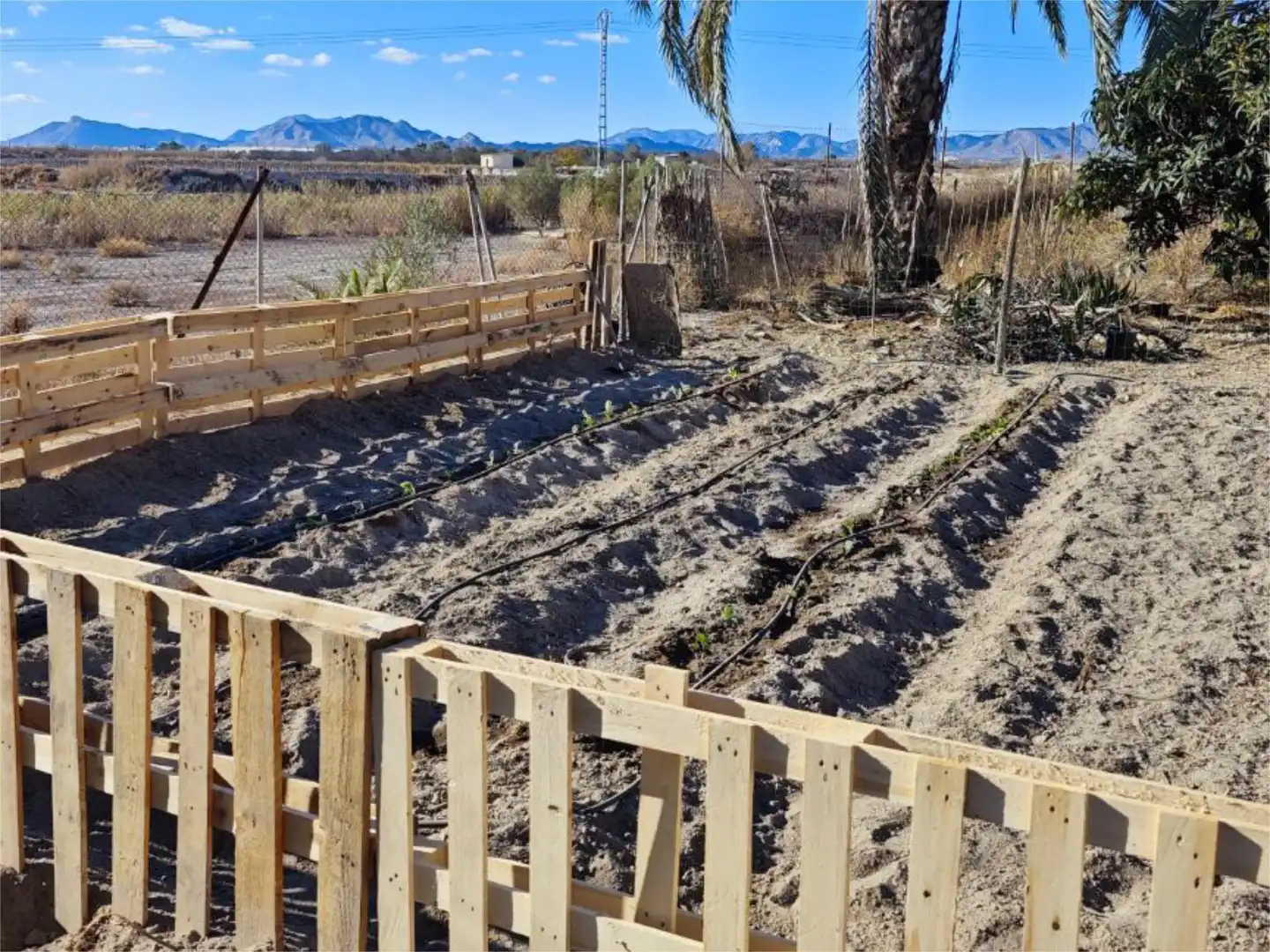Finca rústica en venta en Plaça Poligono 5, 66, Novelda Jardín de Finca rústica en venta en Novelda con Aire acondicionado, Terraza y Piscina