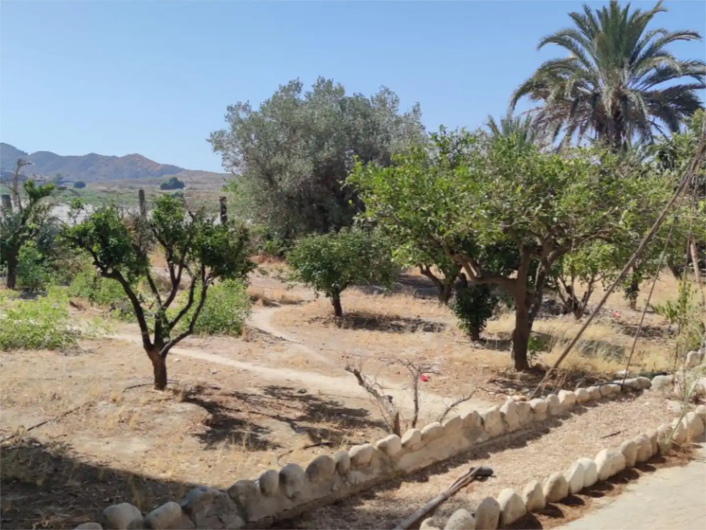 Finca rústica en venta en Plaça Poligono 5, 66, Novelda Finca rústica en venta en Novelda con Aire acondicionado, Terraza y Piscina