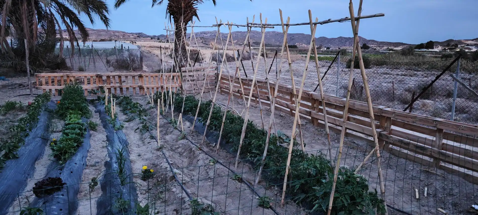 Finca rústica en venta en Plaça Poligono 5, 66, Novelda Jardín de Finca rústica en venta en Novelda con Aire acondicionado, Terraza y Piscina