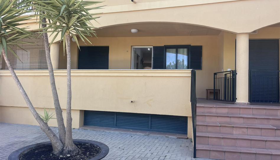 Apartamento de alquiler en Carretera de Atlanterra, 2, Atlanterra, Cádiz - imagen 1 Foto 1 de Apartamento de alquiler en Carretera de Atlanterra, 2, Atlanterra, Cádiz