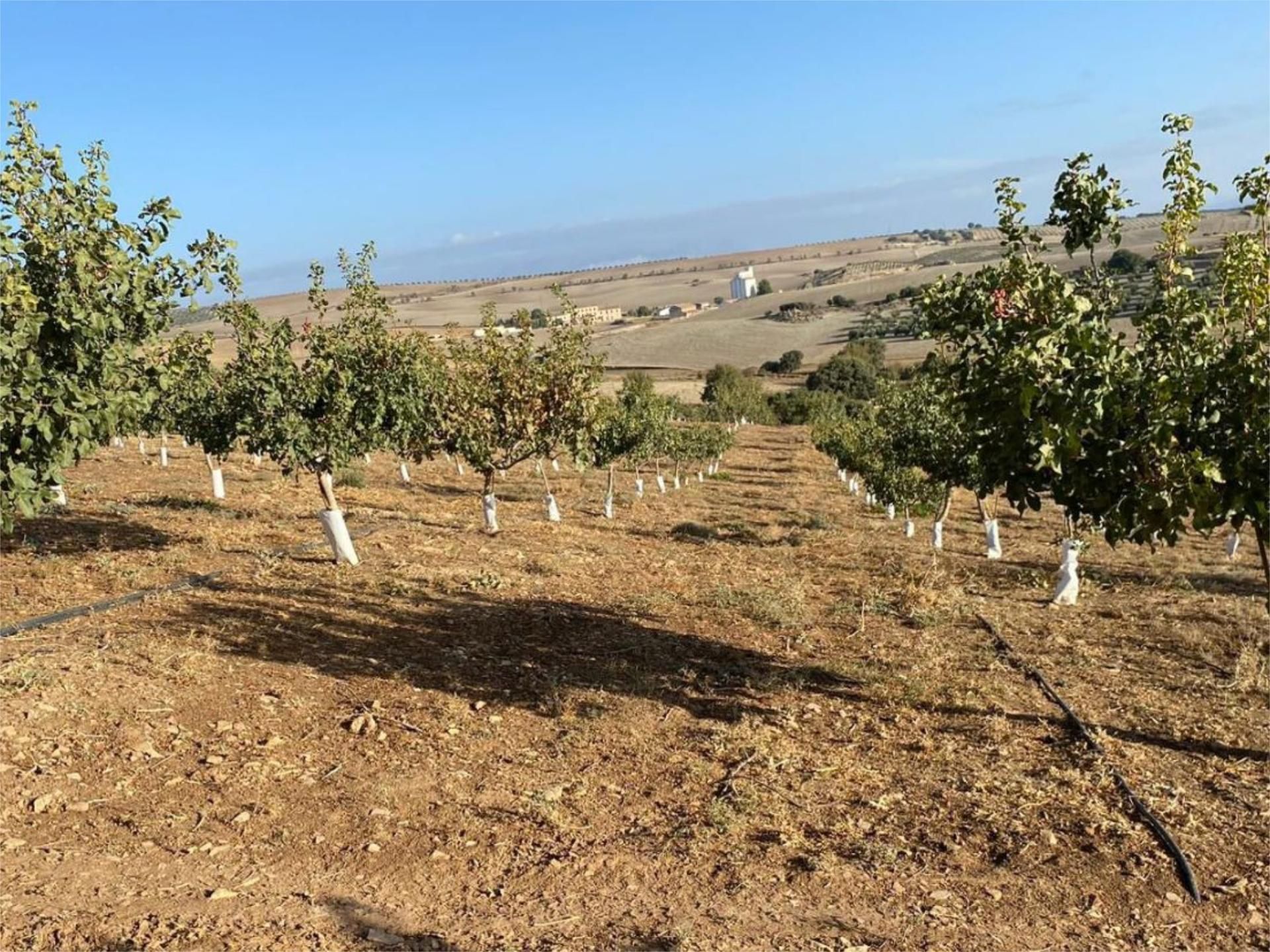 Country house for sale in Gobernador