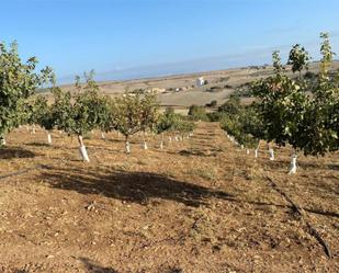 Finca rústica en venda en Gobernador