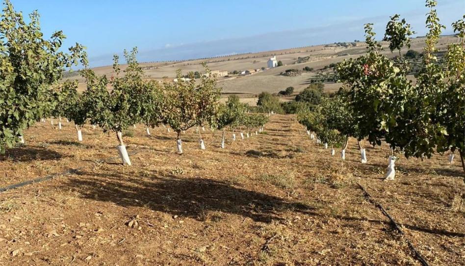 Country house zum Verkauf in Calle Circunvalacion, 5, Gobernador, Granada - Bild 1 Foto 1 von Country house zum Verkauf in Calle Circunvalacion, 5, Gobernador, Granada