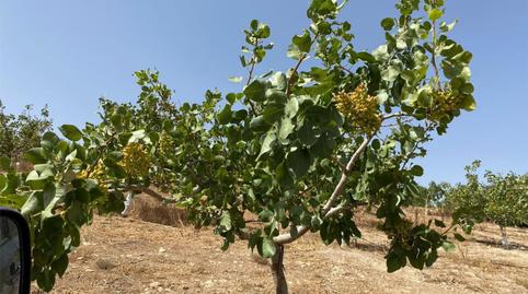 Country house zum Verkauf in Calle Circunvalacion, 5, Gobernador, Granada - Bild 2 Foto 2 von Country house zum Verkauf in Calle Circunvalacion, 5, Gobernador, Granada