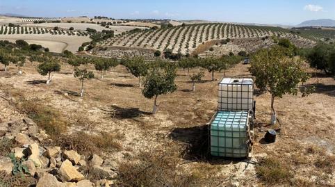 Country house zum Verkauf in Calle Circunvalacion, 5, Gobernador, Granada - Bild 4 Foto 4 von Country house zum Verkauf in Calle Circunvalacion, 5, Gobernador, Granada